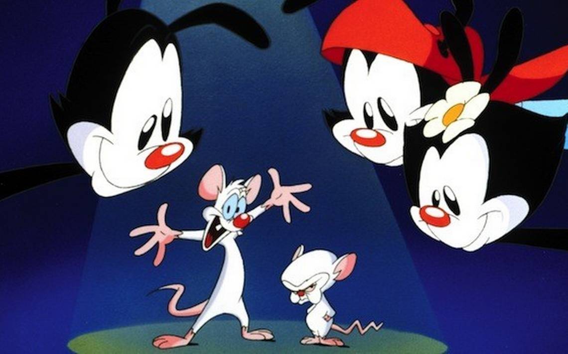 ¿ahora Sí Conquistarán El Mundo ¡vuelven Pinky Y Cerebro Con Nuevos Episodios El Sol Deemk 4237